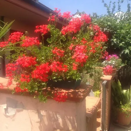 Casa Il Chicco D'uva Apartment *