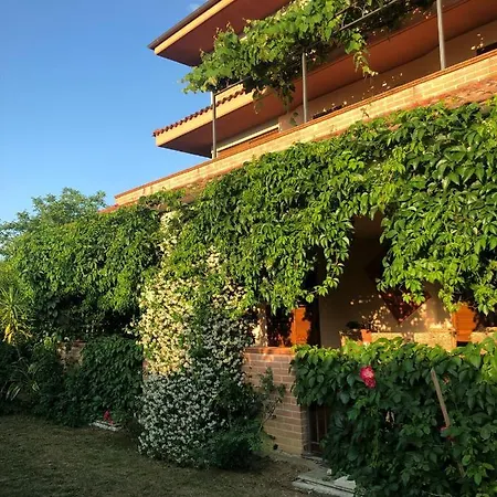 Casa Il Chicco D'uva Apartment